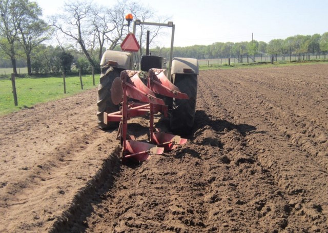 Hanomag