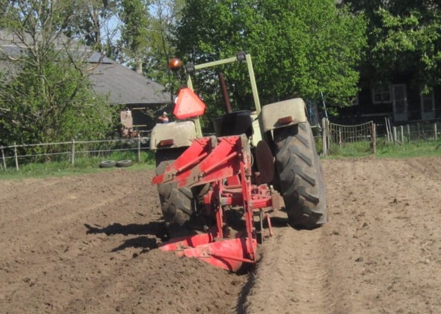 Hanomag