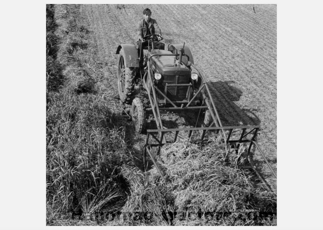 Hanomag
